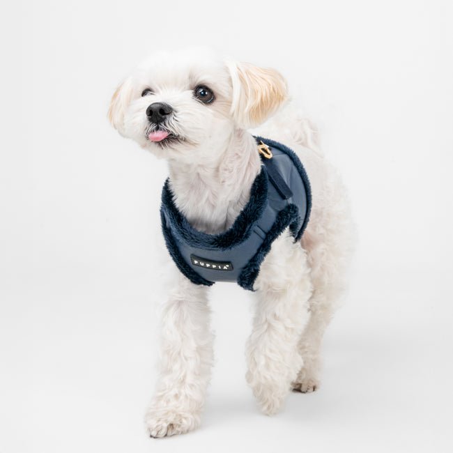 Puppia Wynter Vest Harness B Navy hondentuig > honden harnas > model B Small