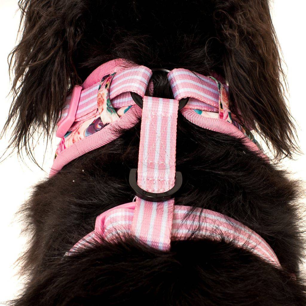 Big and Little Dogs Adjustable I'm A Succa For You ( XLARGE ) - Premium hondentuig > honden harnas from Big and Little Dogs - Just €10! Shop now at Frenkiezdogshop