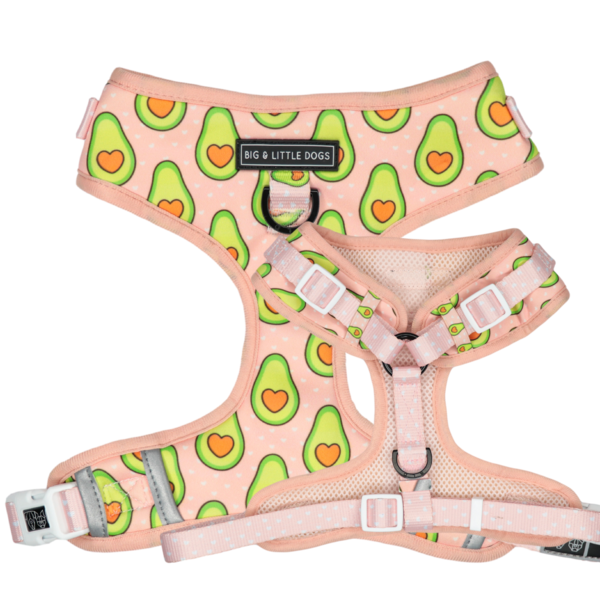 Big and Little Dogs Let's Avo Cuddle - Premium hondentuig > honden harnas from Big and Little Dogs - Just €10! Shop now at Frenkiezdogshop