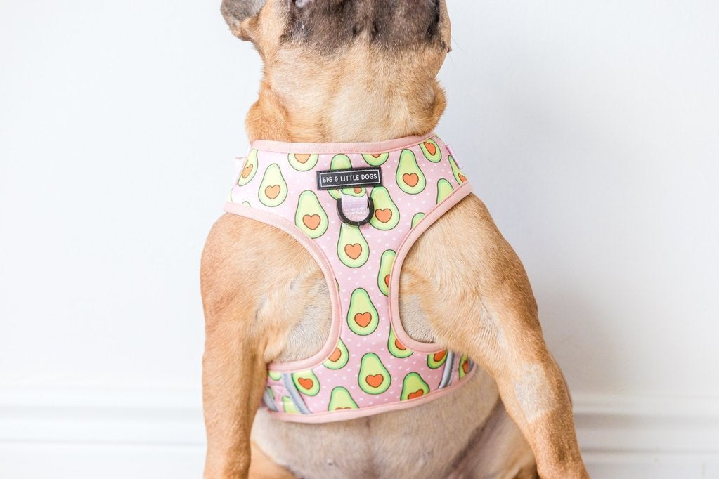 Big and Little Dogs Let's Avo Cuddle - Premium hondentuig > honden harnas from Big and Little Dogs - Just €10! Shop now at Frenkiezdogshop
