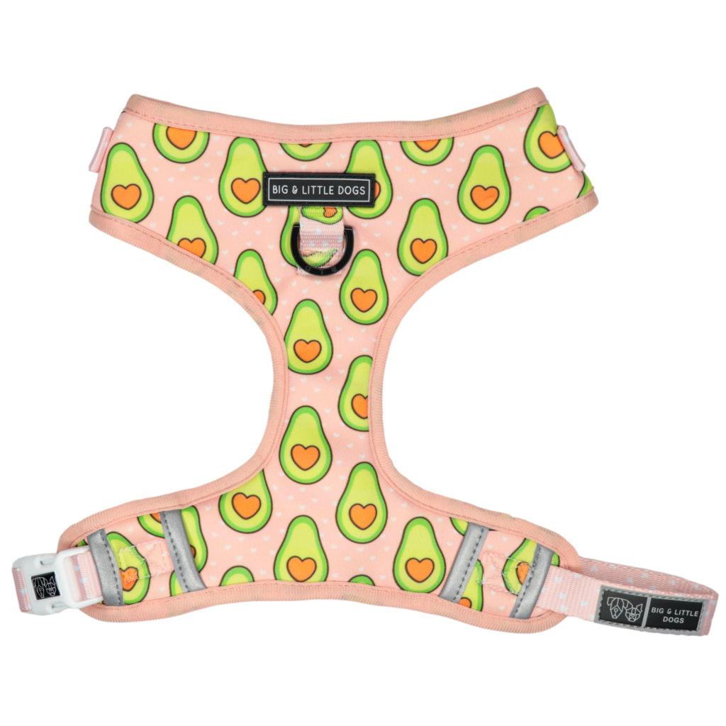 Big and Little Dogs Let's Avo Cuddle - Premium hondentuig > honden harnas from Big and Little Dogs - Just €10! Shop now at Frenkiezdogshop