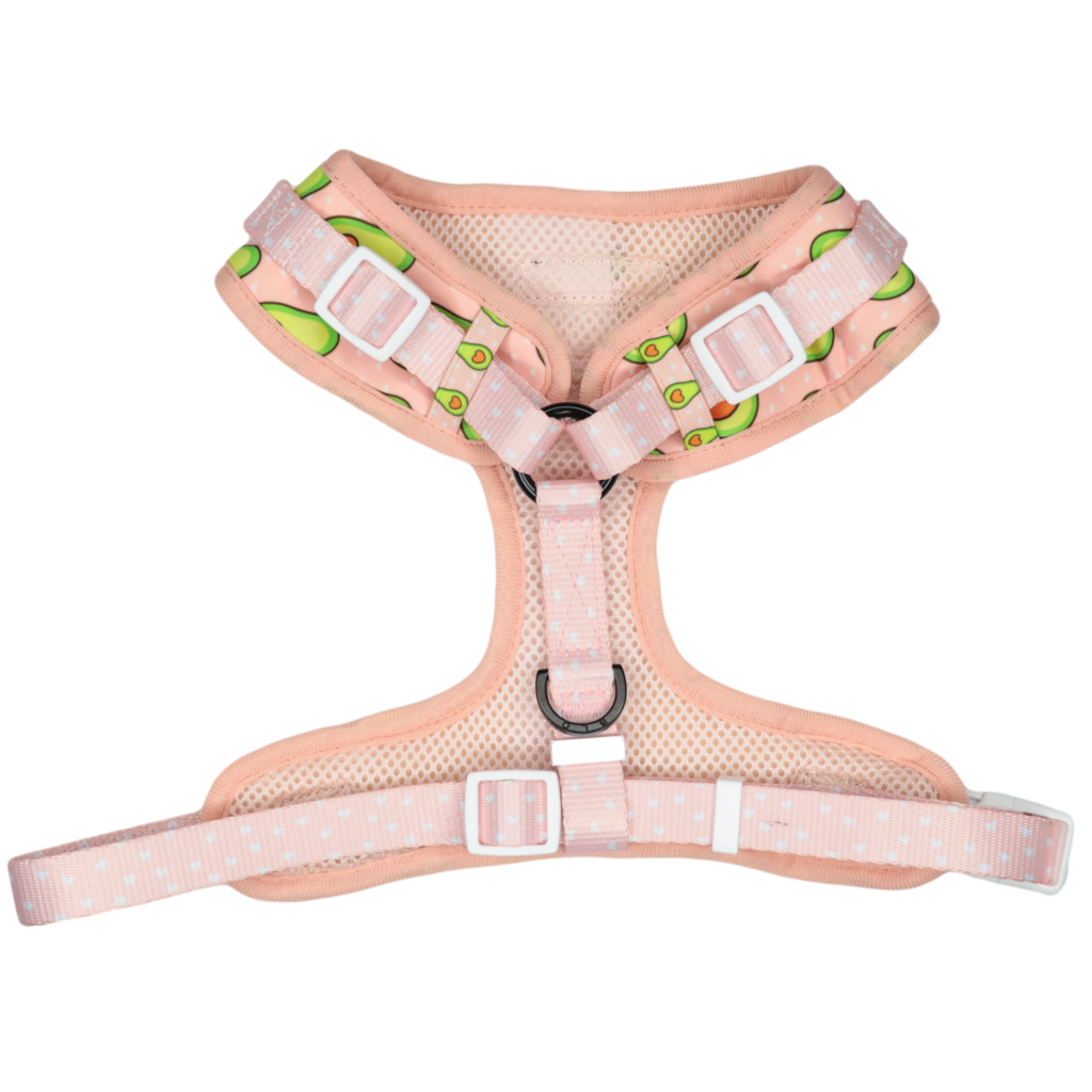 Big and Little Dogs Let's Avo Cuddle - Premium hondentuig > honden harnas from Big and Little Dogs - Just €10! Shop now at Frenkiezdogshop