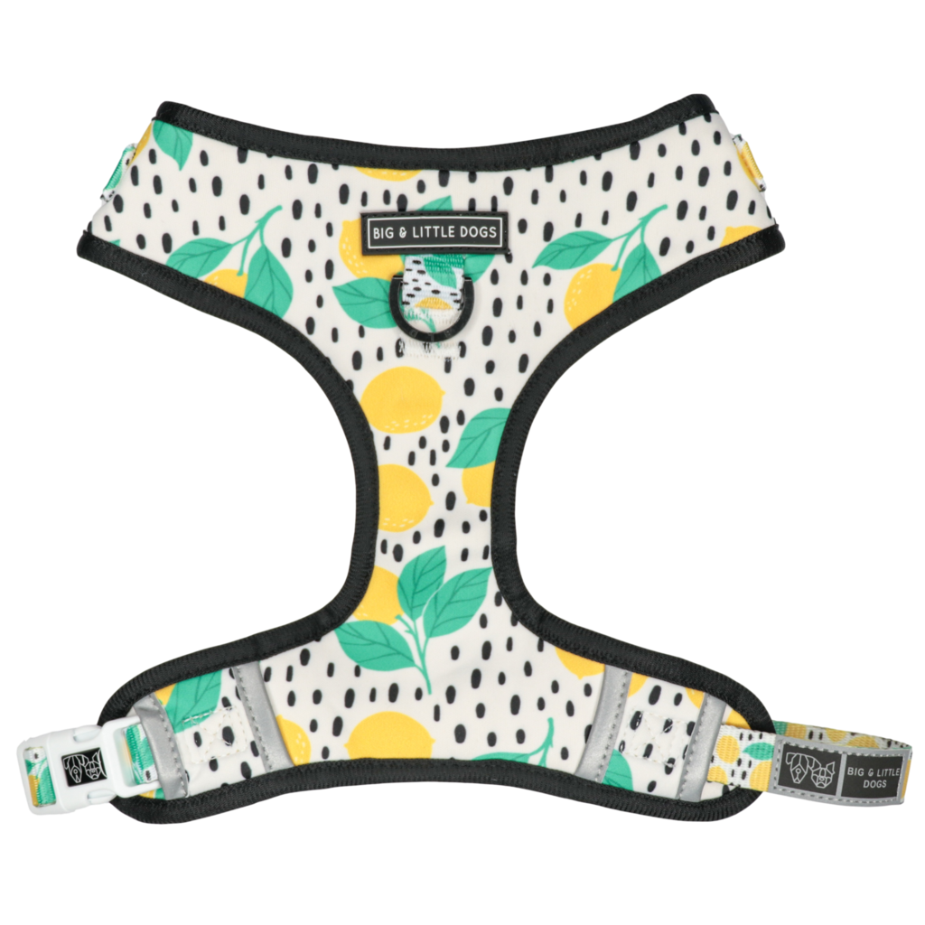 Big and Little Dogs Main squeeze - Premium hondentuig > honden harnas from Big and Little Dogs - Just €10! Shop now at Frenkiezdogshop