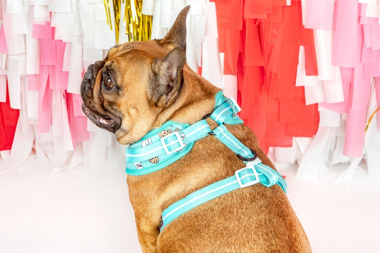 Big and Little Dogs Adjustable Milk & Cookies - Premium hondentuig > honden harnas from Big and Little Dogs - Just €10! Shop now at Frenkiezdogshop