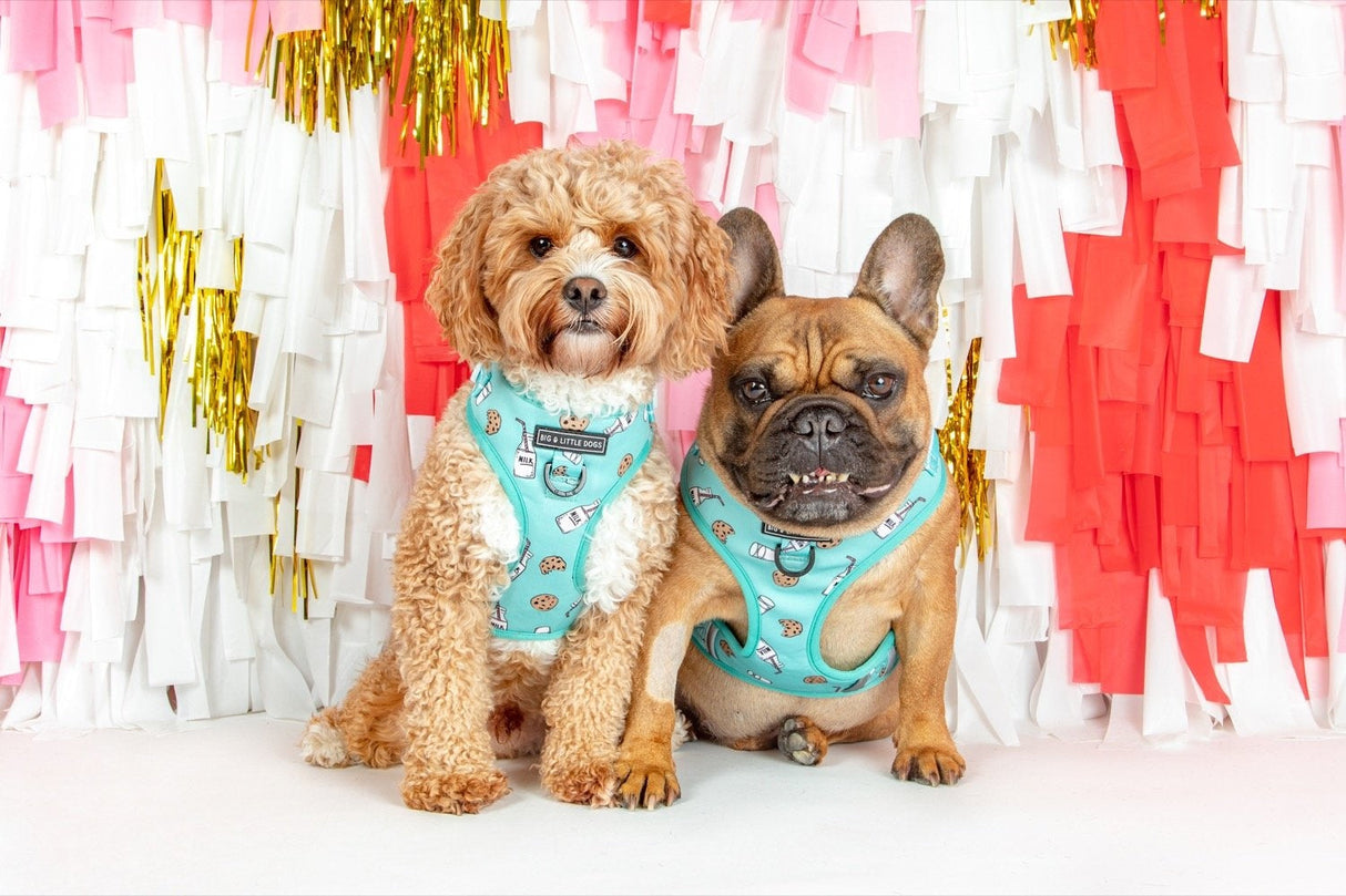Big and Little Dogs Adjustable Milk & Cookies - Premium hondentuig > honden harnas from Big and Little Dogs - Just €10! Shop now at Frenkiezdogshop