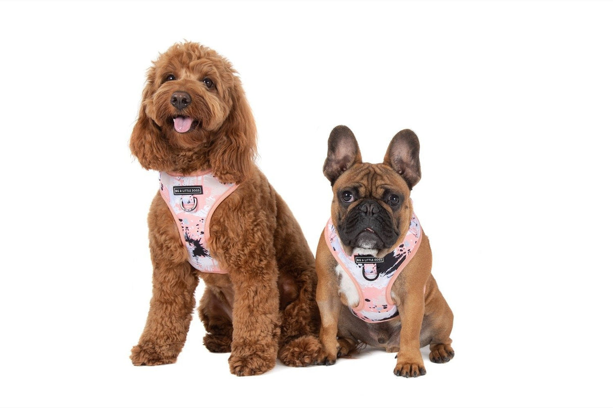 Big and Little Dogs Adjustable Peach Splatter Terrazzo ( X Large ) - Premium hondentuig > honden harnas from Big and Little Dogs - Just €10! Shop now at Frenkiezdogshop