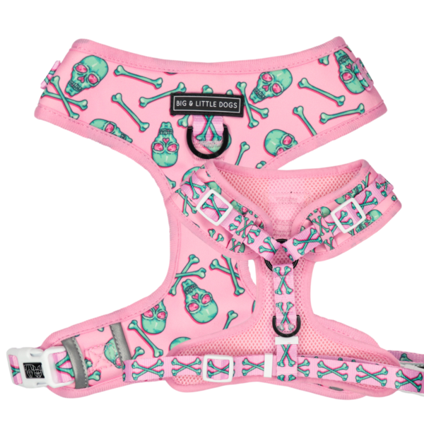Big and Little Dogs Adjustable Skull and Bones - Premium hondentuig > honden harnas from Big and Little Dogs - Just €23.99! Shop now at Frenkiezdogshop