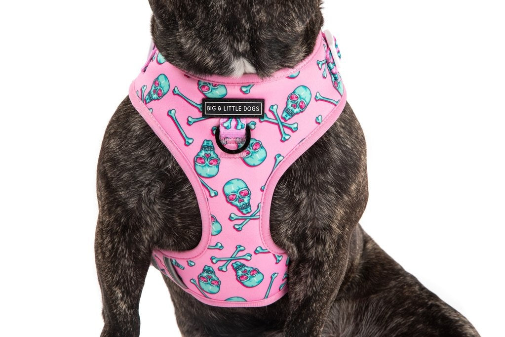 Big and Little Dogs Adjustable Skull and Bones - Premium hondentuig > honden harnas from Big and Little Dogs - Just €23.99! Shop now at Frenkiezdogshop
