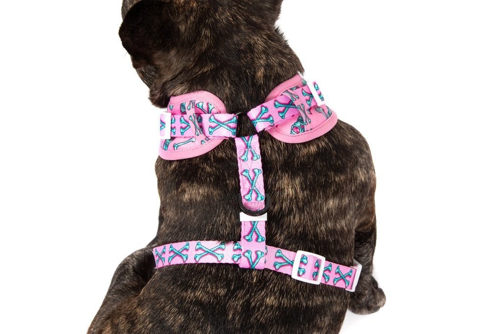 Big and Little Dogs Adjustable Skull and Bones hondentuig > honden harnas > model A Medium