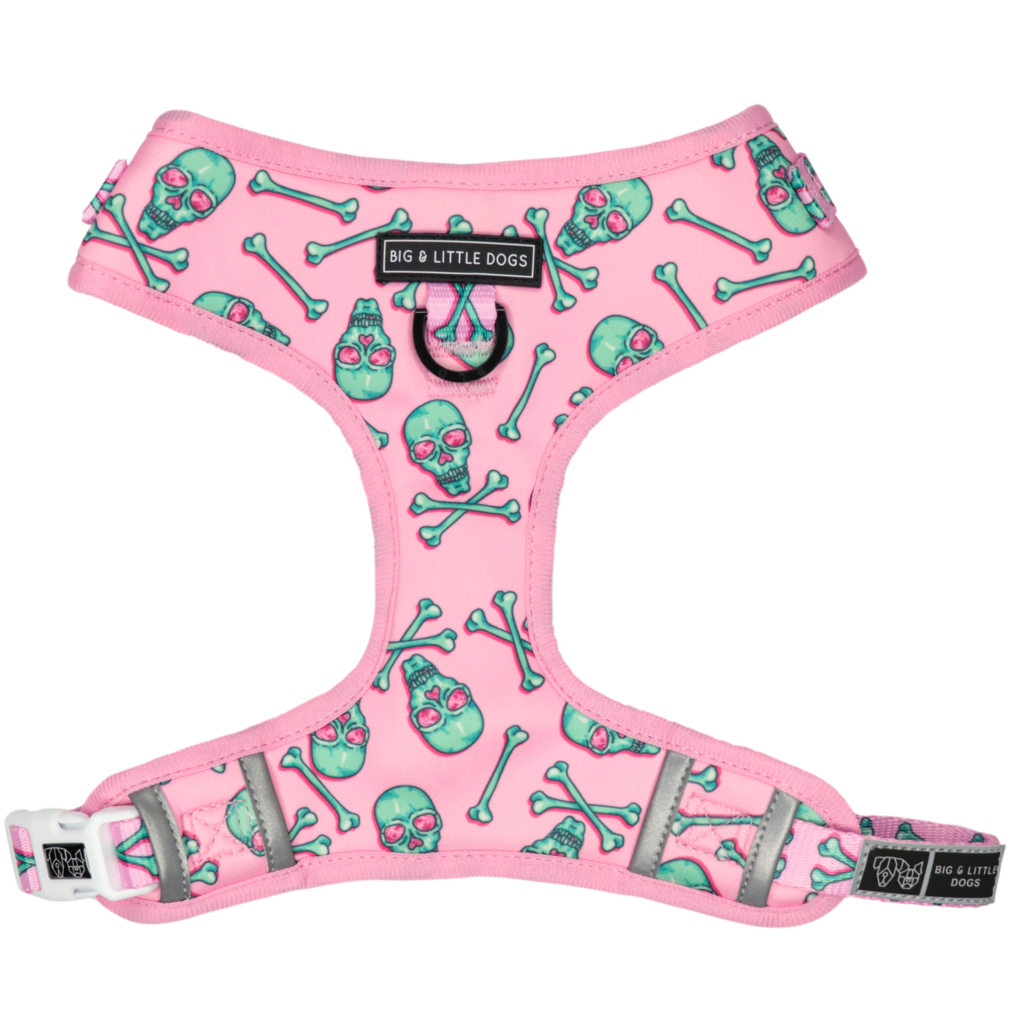 Big and Little Dogs Adjustable Skull and Bones - Premium hondentuig > honden harnas from Big and Little Dogs - Just €23.99! Shop now at Frenkiezdogshop