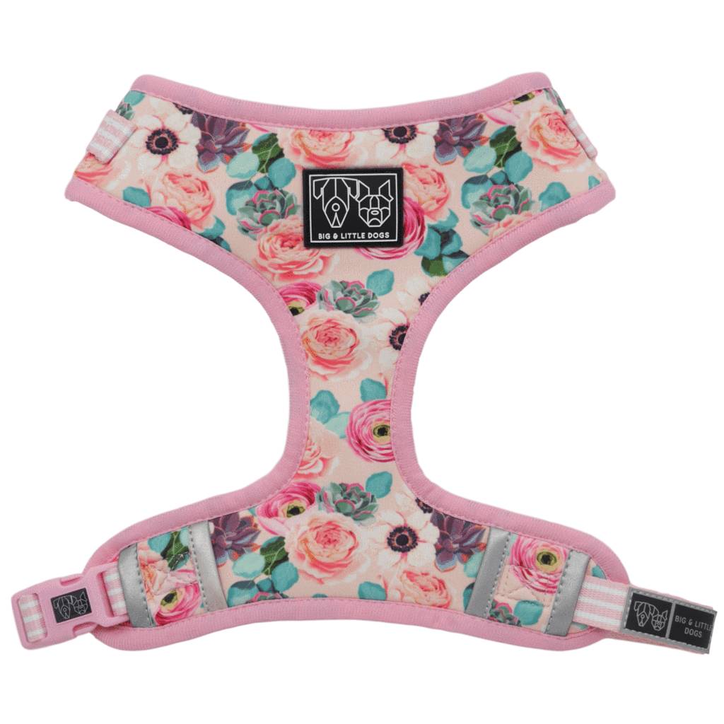 Big and Little Dogs Adjustable I'm A Succa For You ( XLARGE ) - Premium hondentuig > honden harnas from Big and Little Dogs - Just €10! Shop now at Frenkiezdogshop