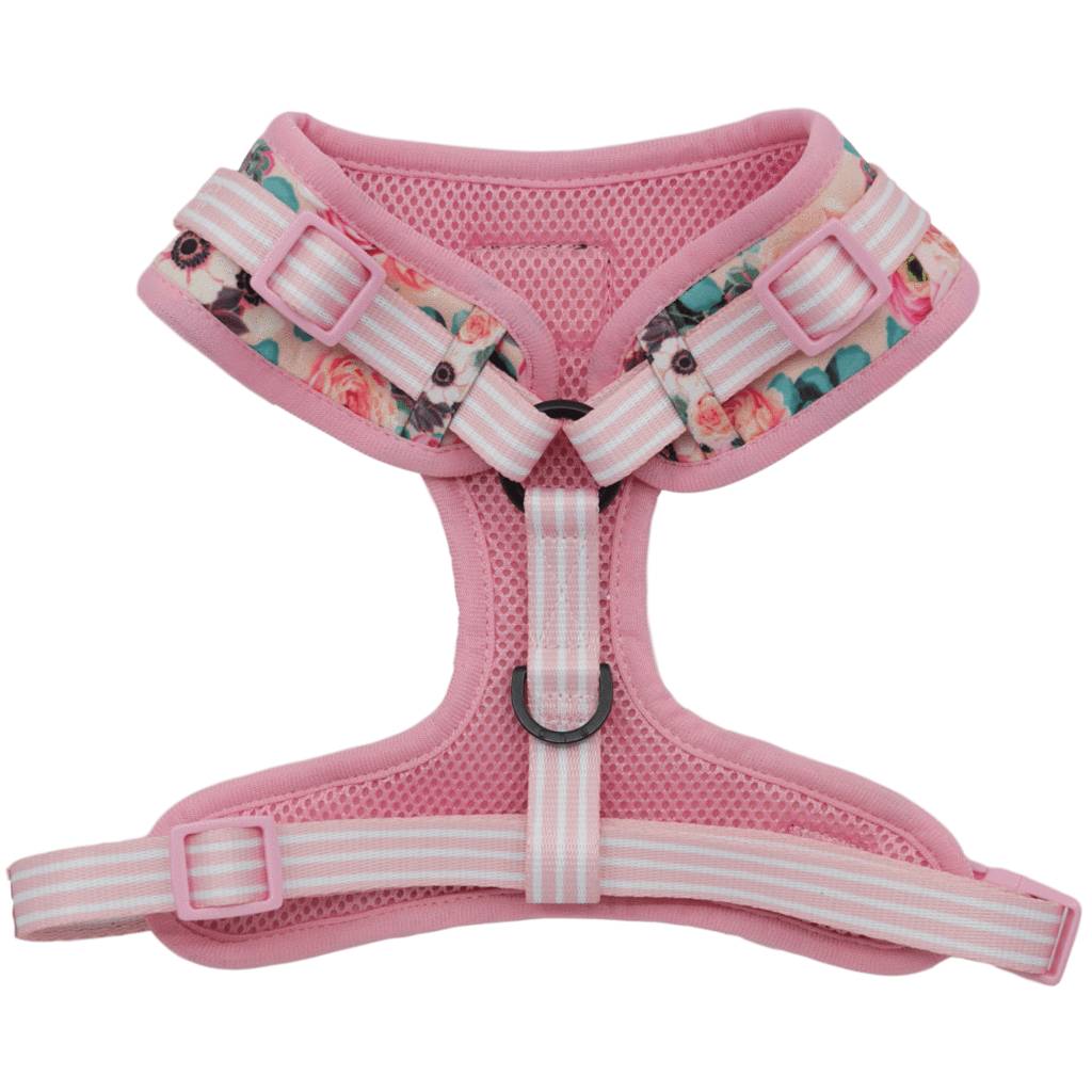 Big and Little Dogs Adjustable I'm A Succa For You ( XLARGE ) - Premium hondentuig > honden harnas from Big and Little Dogs - Just €10! Shop now at Frenkiezdogshop