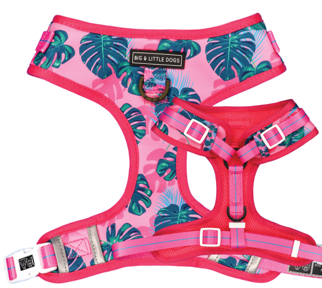 Big and Little Dogs Adjustable Harness Summer Lovin' ( L & XL ) - Premium hondentuig > honden harnas from Big and Little Dogs - Just €10! Shop now at Frenkiezdogshop