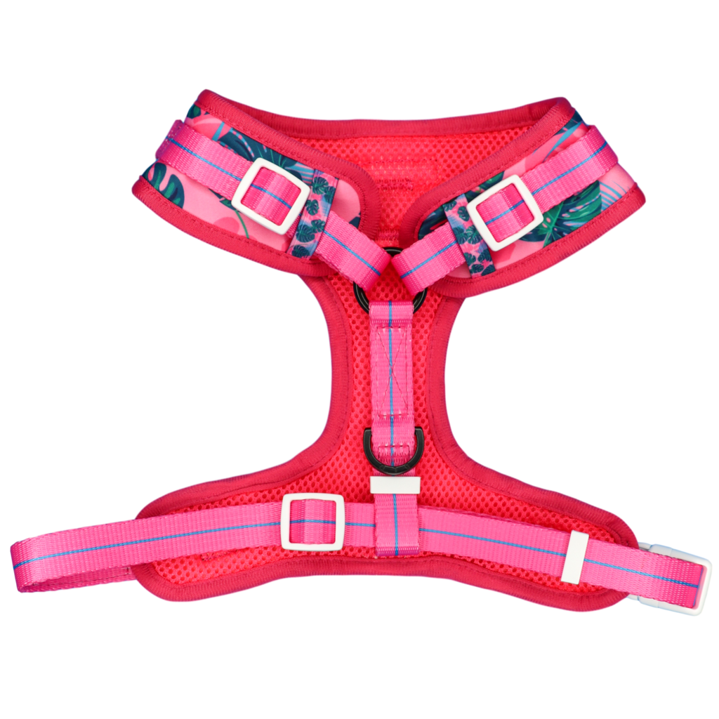 Big and Little Dogs Adjustable Harness Summer Lovin' ( L & XL ) - Premium hondentuig > honden harnas from Big and Little Dogs - Just €10! Shop now at Frenkiezdogshop