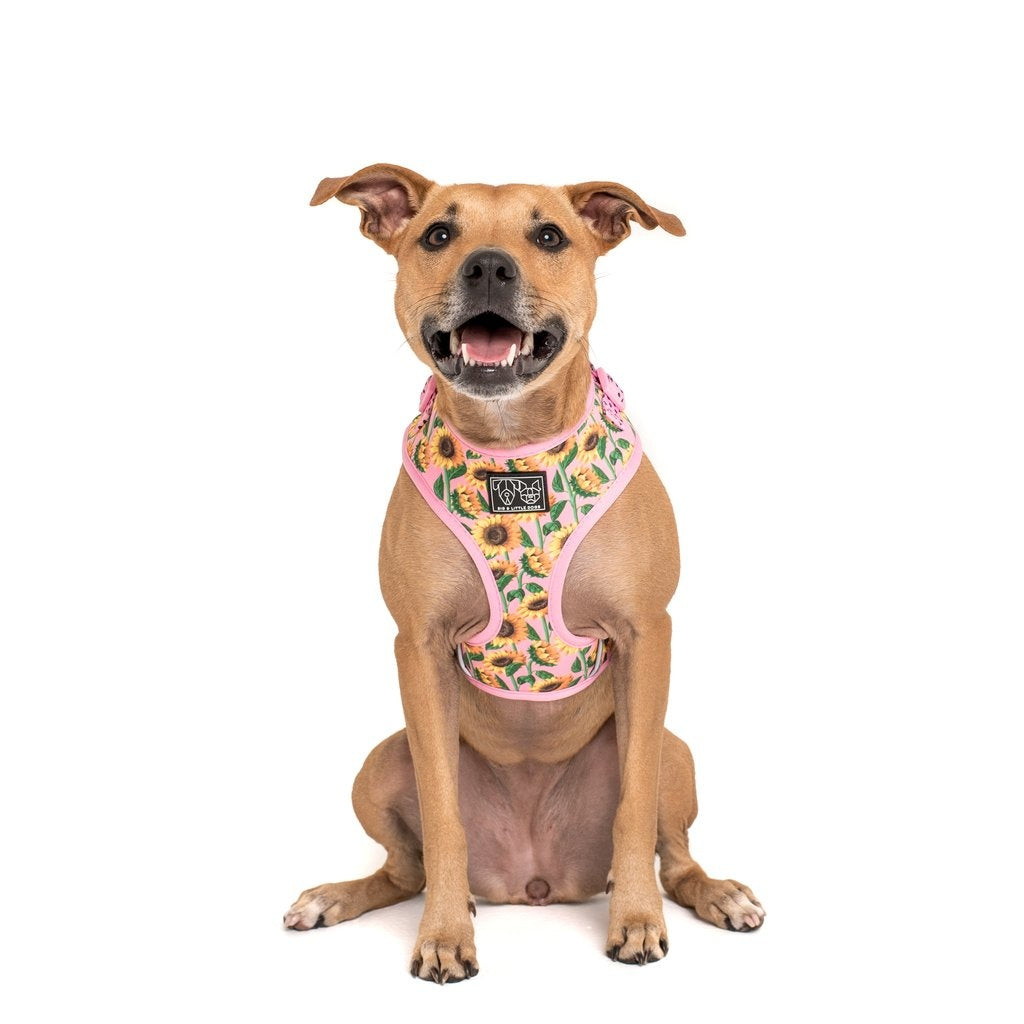 Big and Little Dogs Adjustable Harness You Are My Sunshine ( X-LARGE) - Premium hondentuig > honden harnas from Big and Little Dogs - Just €10! Shop now at Frenkiezdogshop