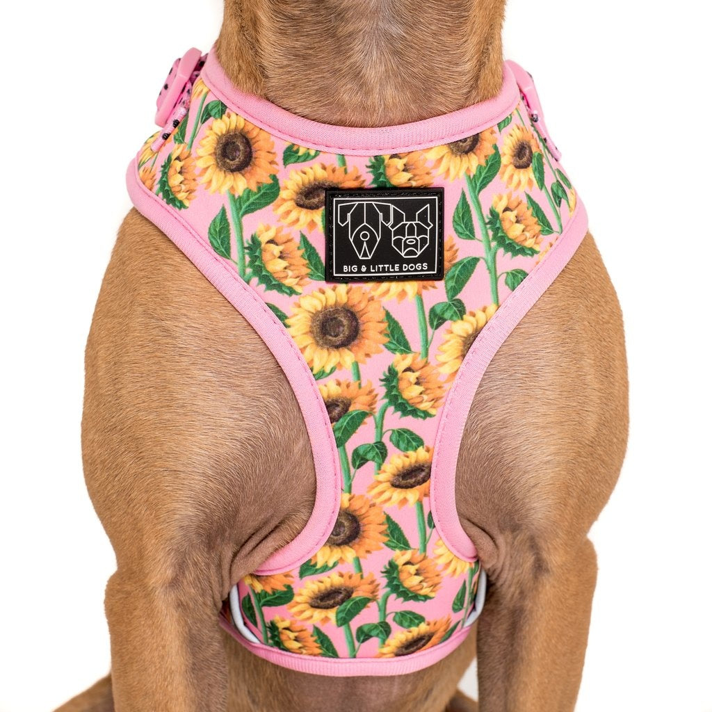 Big and Little Dogs Adjustable Harness You Are My Sunshine ( X-LARGE) - Premium hondentuig > honden harnas from Big and Little Dogs - Just €10! Shop now at Frenkiezdogshop