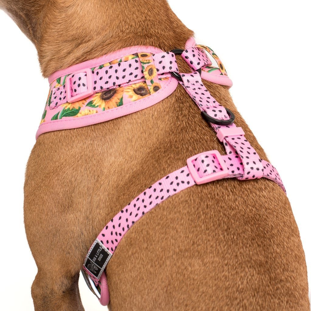 Big and Little Dogs Adjustable Harness You Are My Sunshine ( X - LARGE) hondentuig > honden harnas > model A X - Large
