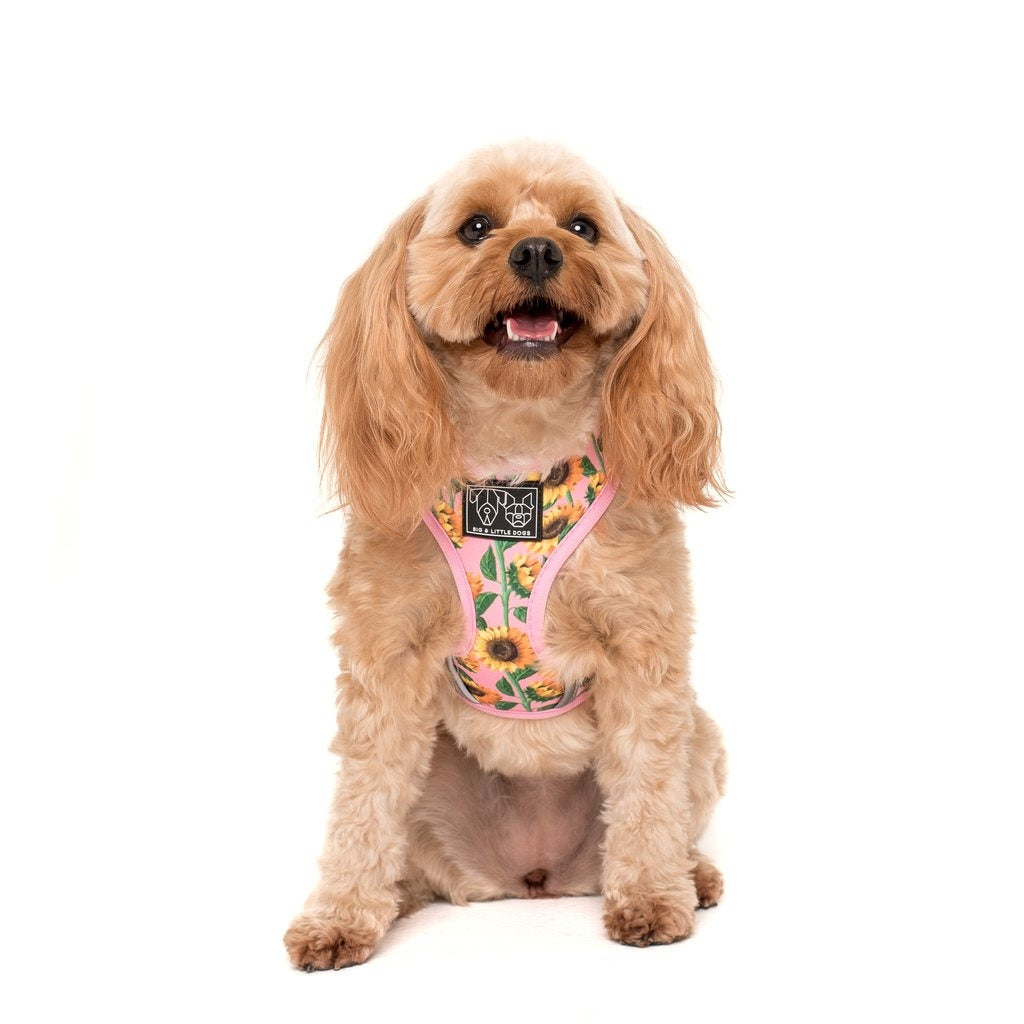 Big and Little Dogs Adjustable Harness You Are My Sunshine ( X-LARGE) - Premium hondentuig > honden harnas from Big and Little Dogs - Just €10! Shop now at Frenkiezdogshop