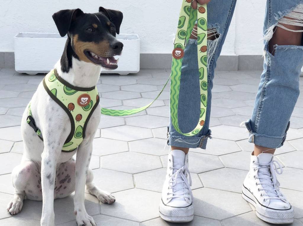 Dukier Reversible Harness Avocado - Premium hondentuig > honden harnas from Dukier - Just €10! Shop now at Frenkiezdogshop