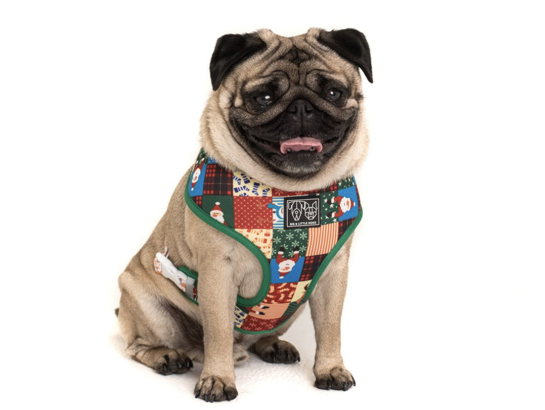 Big and Little Dogs Reversible Harness Silly Season ( XS, S & M ) - Premium hondentuig > honden harnas from Big and Little Dogs - Just €10! Shop now at Frenkiezdogshop