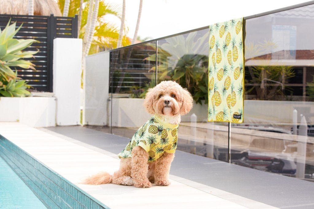 Big and Little Dogs strand shirt met UV bescherming Lookin' Pine Hondenkleding > zonbescherming X - Small