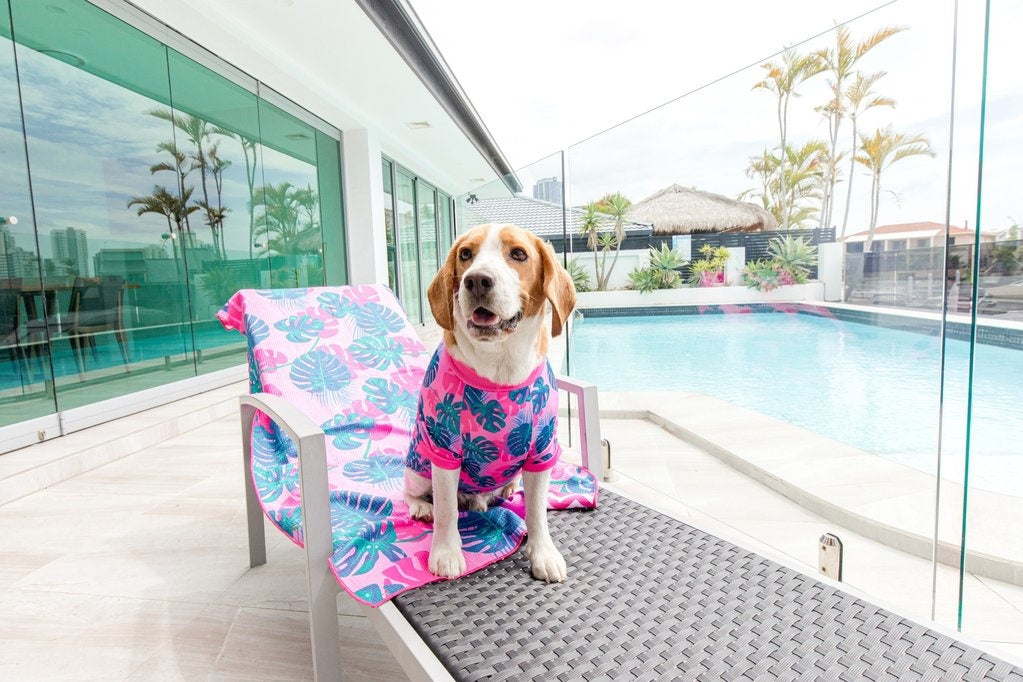 Big and Little Dogs strand shirt met UV bescherming Summer Lovin' ( Large ) - Premium Hondenkleding > zonbescherming from Big and Little Dogs - Just €23.99! Shop now at Frenkiezdogshop