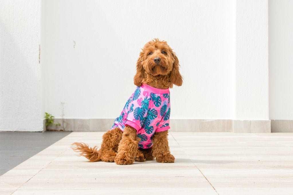 Big and Little Dogs strand shirt met UV bescherming Summer Lovin' ( Large ) Hondenkleding > zonbescherming Large