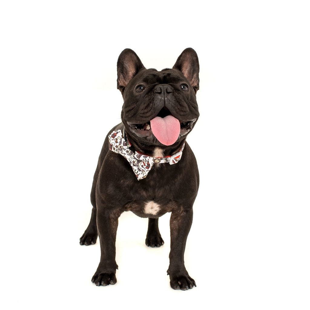 Big and Little Dogs Halsband Best in The West ( XSMALL & MEDIUM ) - Premium halsband > hondenhalsband from Big and Little Dogs - Just €10! Shop now at Frenkiezdogshop