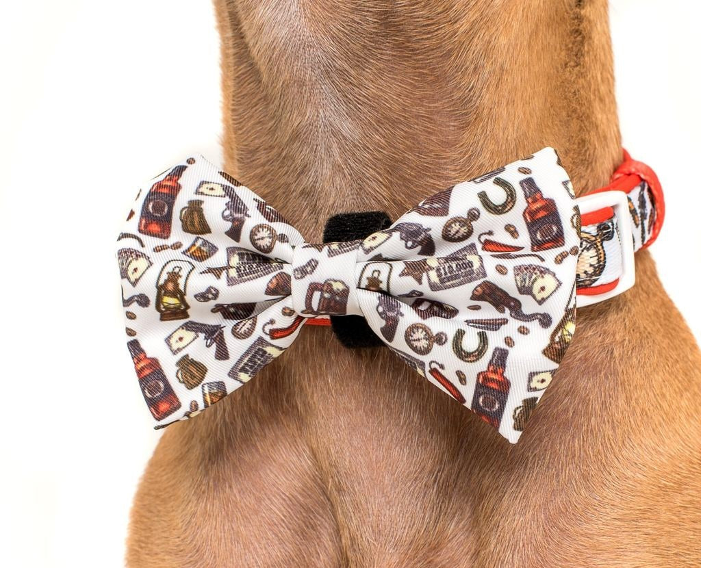 Big and Little Dogs Halsband Best in The West ( XSMALL & MEDIUM ) - Premium halsband > hondenhalsband from Big and Little Dogs - Just €10! Shop now at Frenkiezdogshop