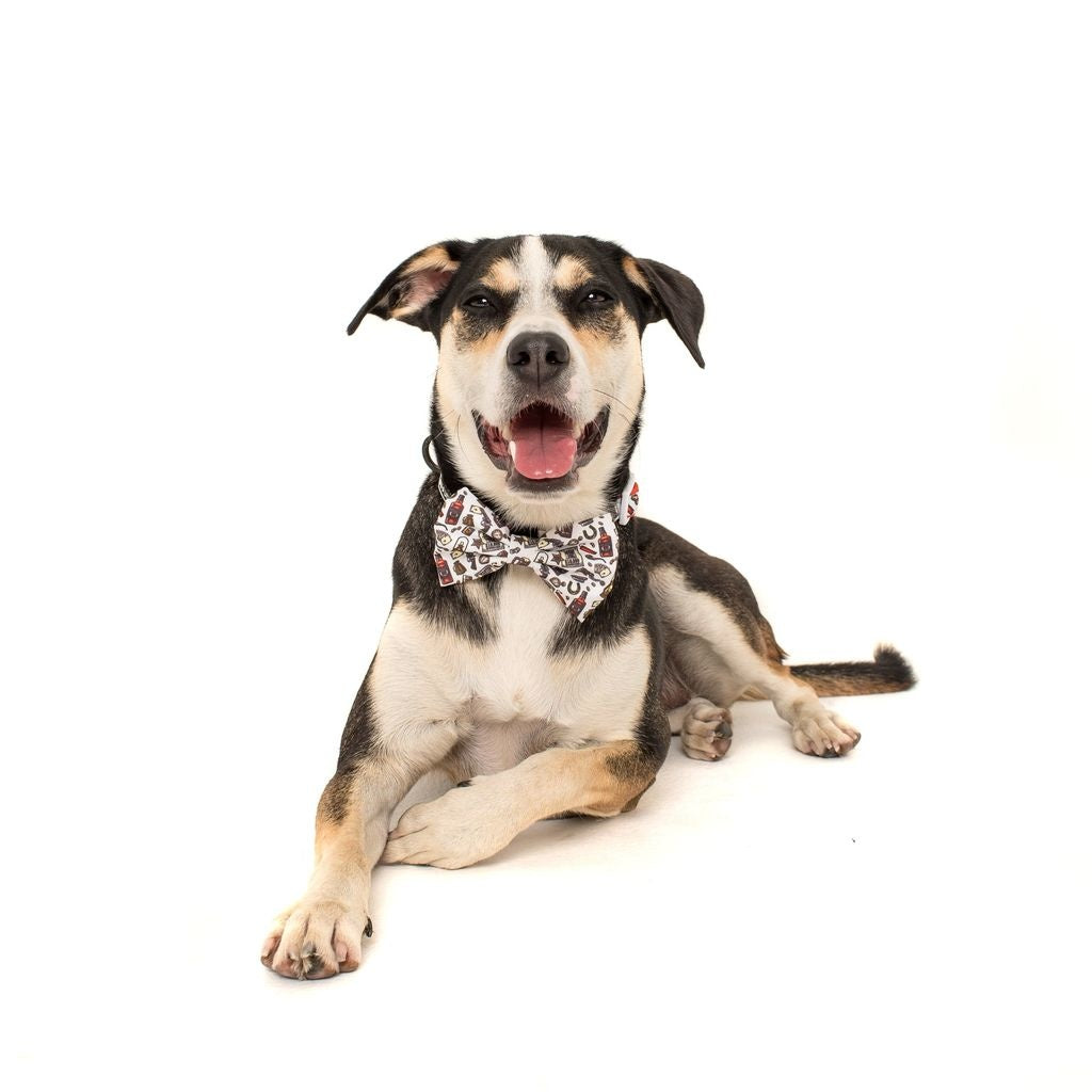 Big and Little Dogs Halsband Best in The West ( XSMALL & MEDIUM ) - Premium halsband > hondenhalsband from Big and Little Dogs - Just €10! Shop now at Frenkiezdogshop