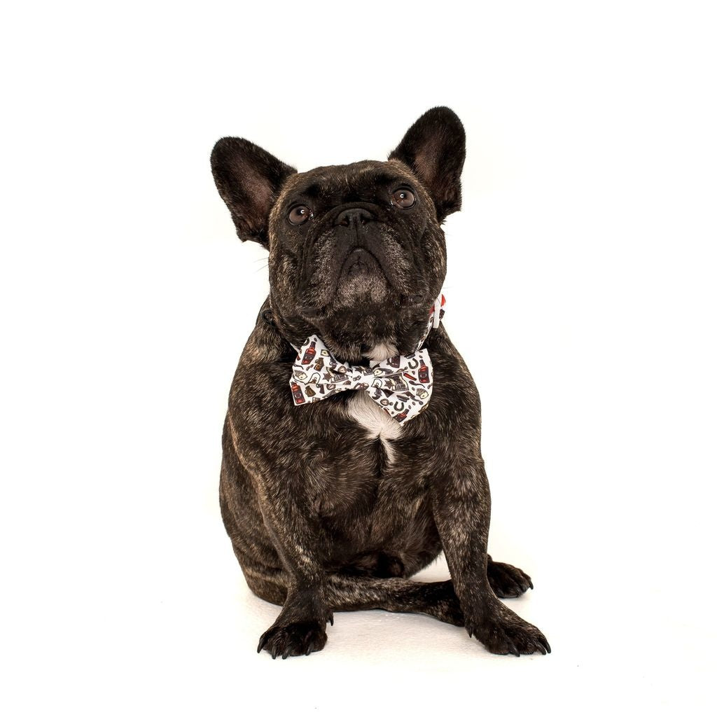Big and Little Dogs Halsband Best in The West ( XSMALL & MEDIUM ) - Premium halsband > hondenhalsband from Big and Little Dogs - Just €10! Shop now at Frenkiezdogshop