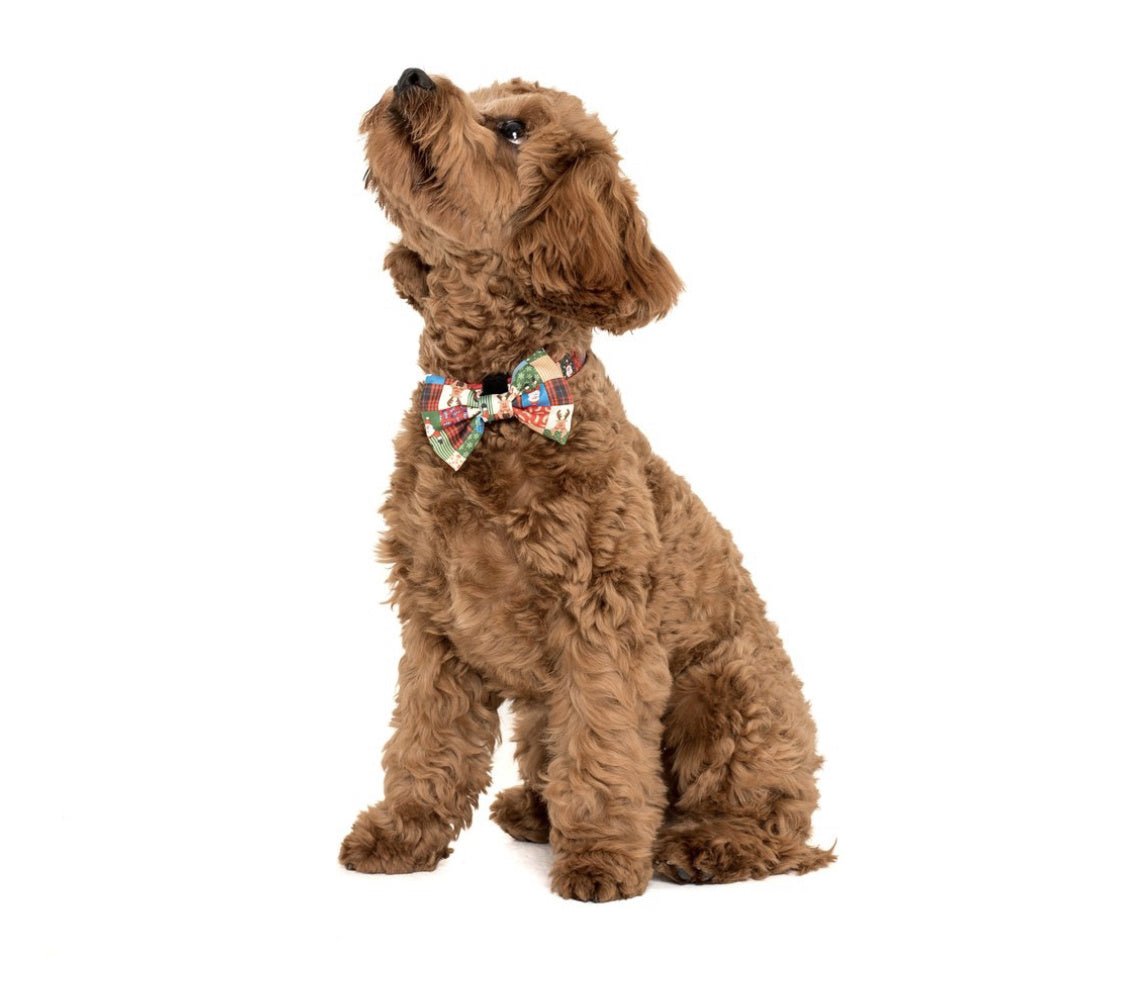 Big and Little Dogs Halsband Silly Season ( XS & M ) halsband > hondenhalsband X - Small