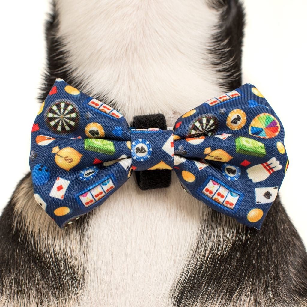 Big and Little Dogs Halsband High Roller halsband > hondenhalsband X - Small