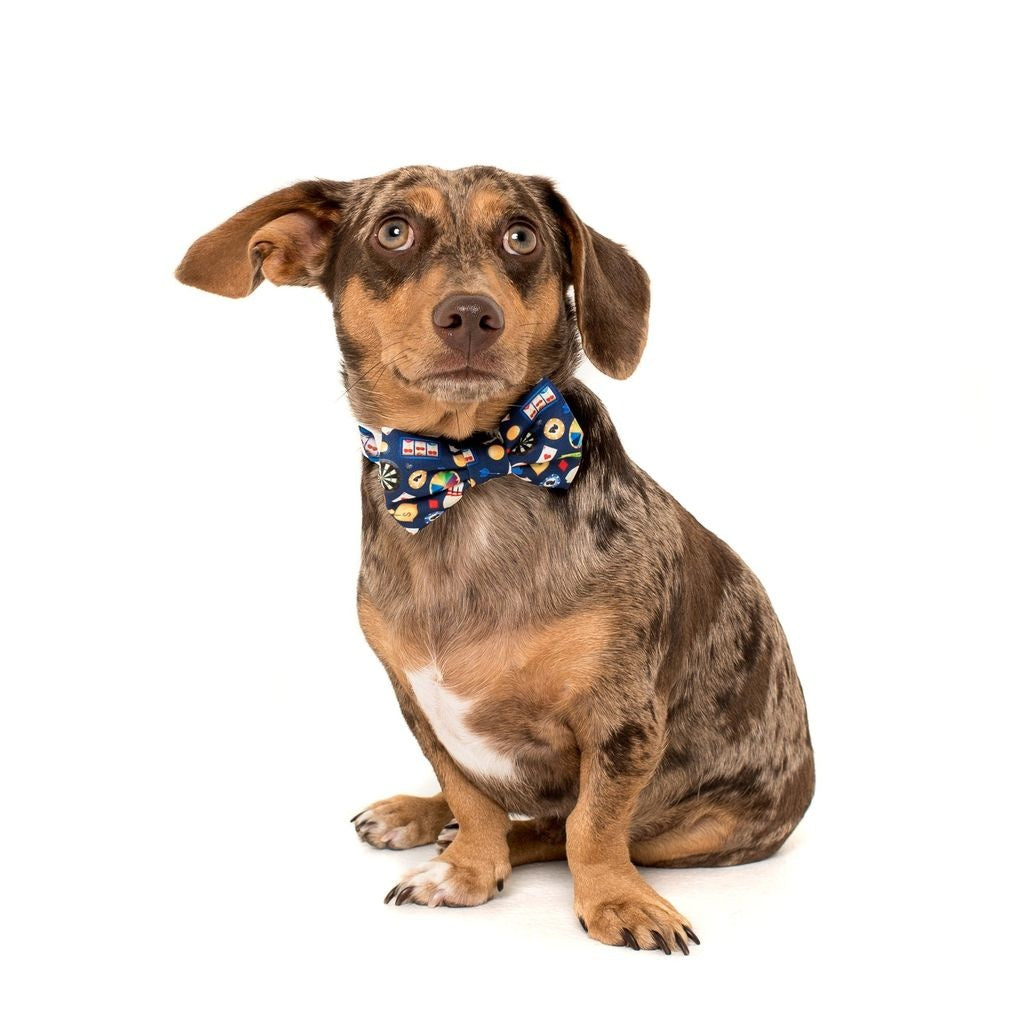 Big and Little Dogs Halsband High Roller - Premium halsband > hondenhalsband from Big and Little Dogs - Just €10! Shop now at Frenkiezdogshop