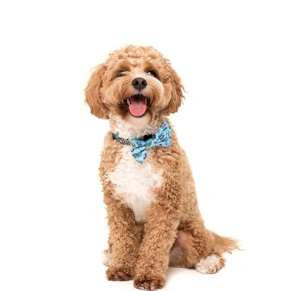 Big and Little Dogs Halsband Out Of This World ( L ) - Premium halsband > hondenhalsband from Big and Little Dogs - Just €10! Shop now at Frenkiezdogshop