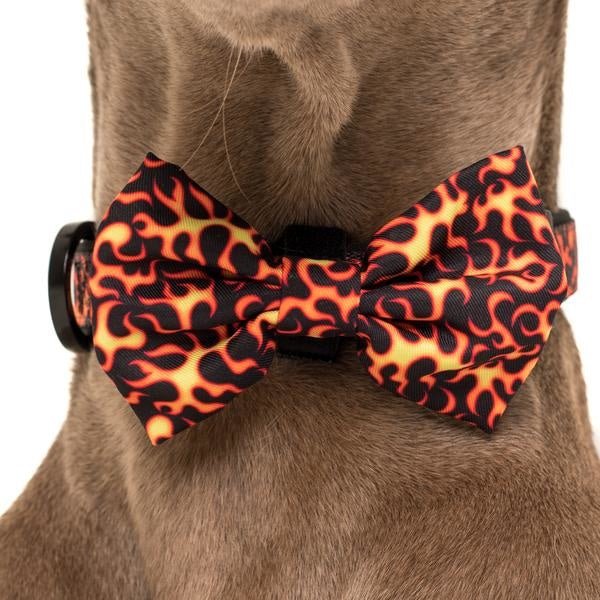 Big and Little Dogs Halsband Too Hot To Handle ( S & L ) halsband > hondenhalsband X - Small