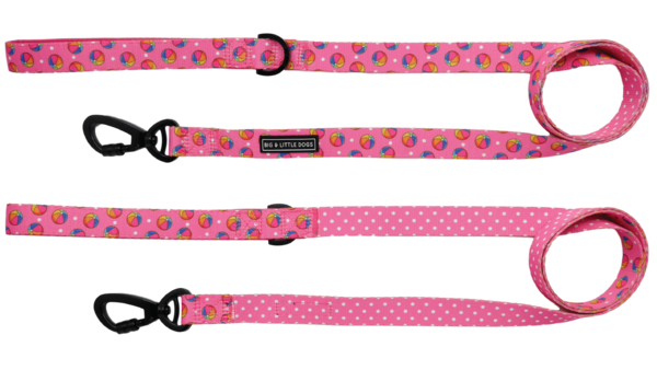 Big and Little Dogs Lijn Having A Ball - Premium hondenriem > hondenlijn from Big and Little Dogs - Just €10! Shop now at Frenkiezdogshop