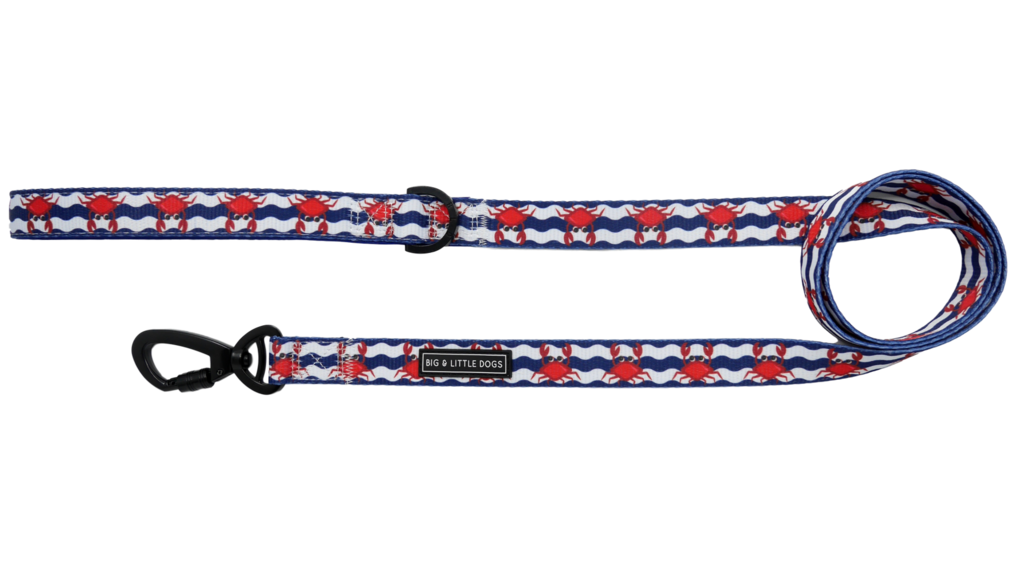 Big and Little Dogs Lijn Under The Sea ( 2,5cm ) - Premium hondenriem > hondenlijn from Big and Little Dogs - Just €10! Shop now at Frenkiezdogshop