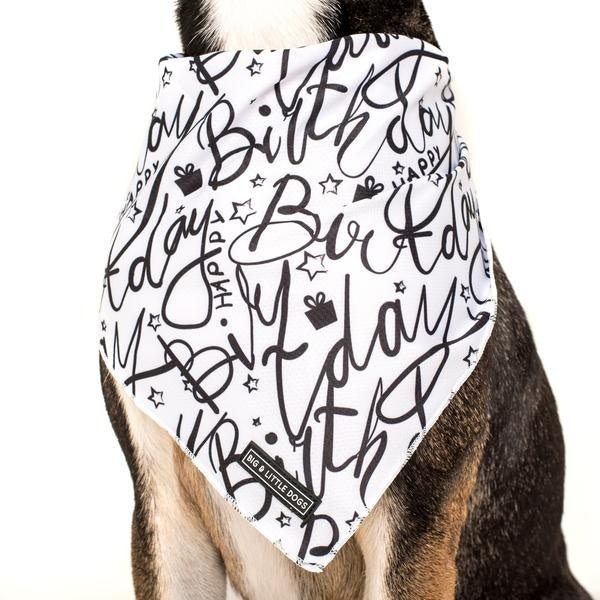 Big and Little dogs Bandana Black & White Birthday Bandana > Hondenbandana Small/Medium