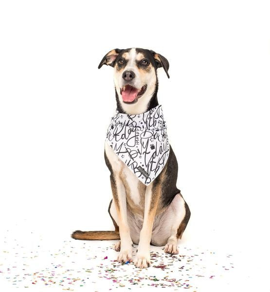 Big and Little dogs Bandana Black & White Birthday - Premium Bandana > Hondenbandana from Big and Little Dogs - Just €5! Shop now at Frenkiezdogshop