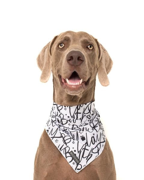 Big and Little dogs Bandana Black & White Birthday - Premium Bandana > Hondenbandana from Big and Little Dogs - Just €5! Shop now at Frenkiezdogshop