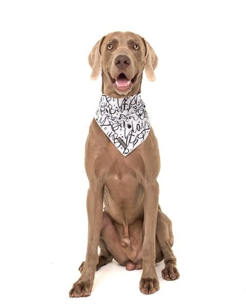 Big and Little dogs Bandana Black & White Birthday - Premium Bandana > Hondenbandana from Big and Little Dogs - Just €5! Shop now at Frenkiezdogshop
