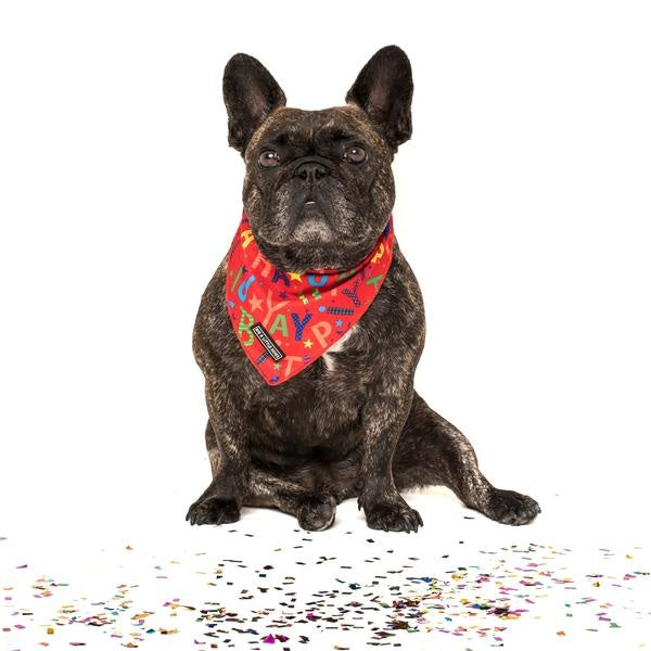 Big and Little dogs Bandana Red Birthday ( S/M) - Premium Bandana > Hondenbandana from Big and Little Dogs - Just €5! Shop now at Frenkiezdogshop