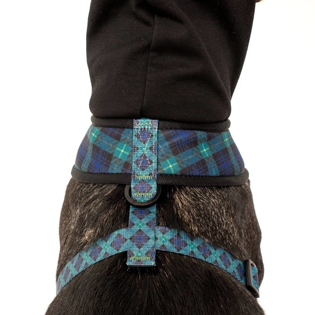 Big and Little Dogs Hoody Harness Green With Envy ( XSMALL & SMALL ) hondentuig > honden harnas > model A X - Small