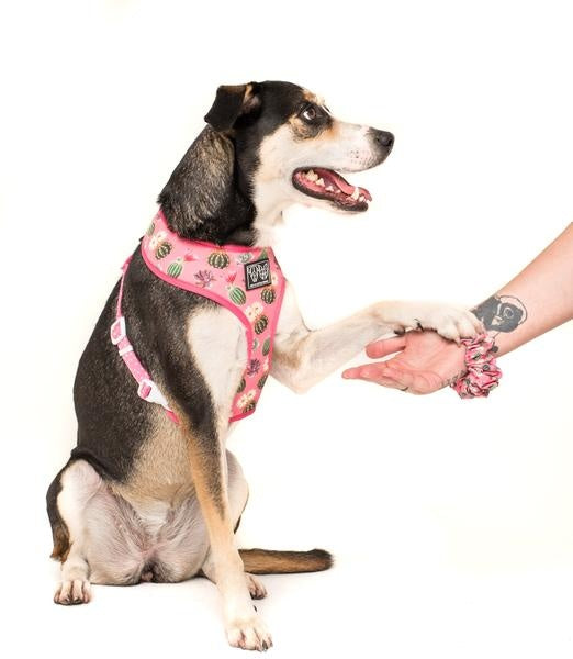 Big and Little Dogs Plant One On Me scrunchie - Premium Haarelastiek > haarasseccoire from Big and Little Dogs - Just €5! Shop now at Frenkiezdogshop