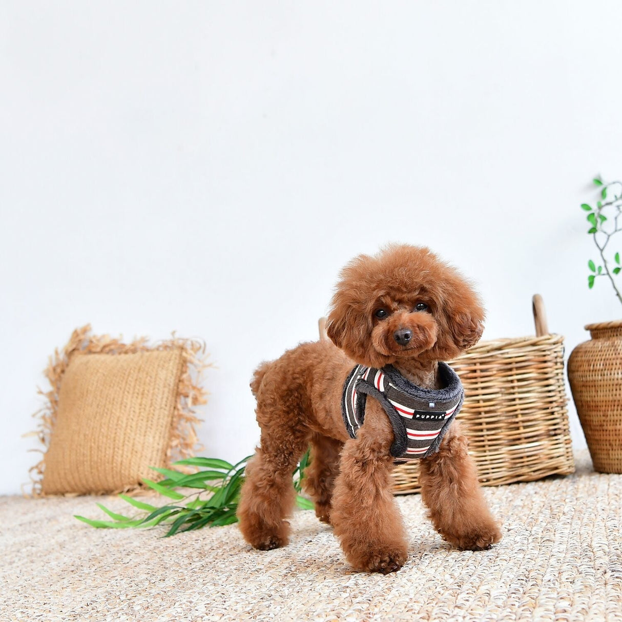 Puppia Harness B Rowdy Dark Grey - Premium hondentuig > honden harnas from Puppia - Just €20! Shop now at Frenkiezdogshop