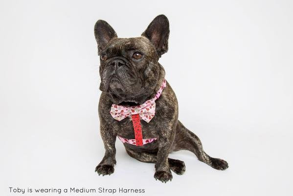 Big and Little Dogs Strap Harness Bug me anytime ( Large ) - Premium hondentuig > honden harnas from Big and Little Dogs - Just €10! Shop now at Frenkiezdogshop