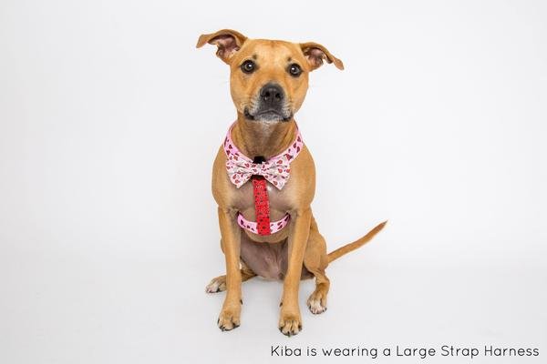 Big and Little Dogs Strap Harness Bug me anytime ( Large ) - Premium hondentuig > honden harnas from Big and Little Dogs - Just €10! Shop now at Frenkiezdogshop