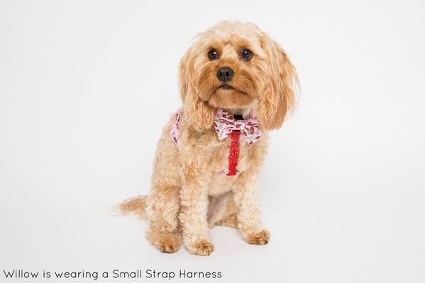 Big and Little Dogs Strap Harness Bug me anytime ( Large ) - Premium hondentuig > honden harnas from Big and Little Dogs - Just €10! Shop now at Frenkiezdogshop