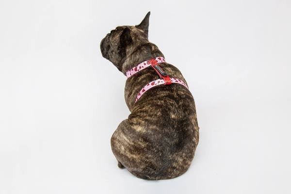 Big and Little Dogs Strap Harness Bug me anytime ( Large ) hondentuig > honden harnas > overige modellen Small